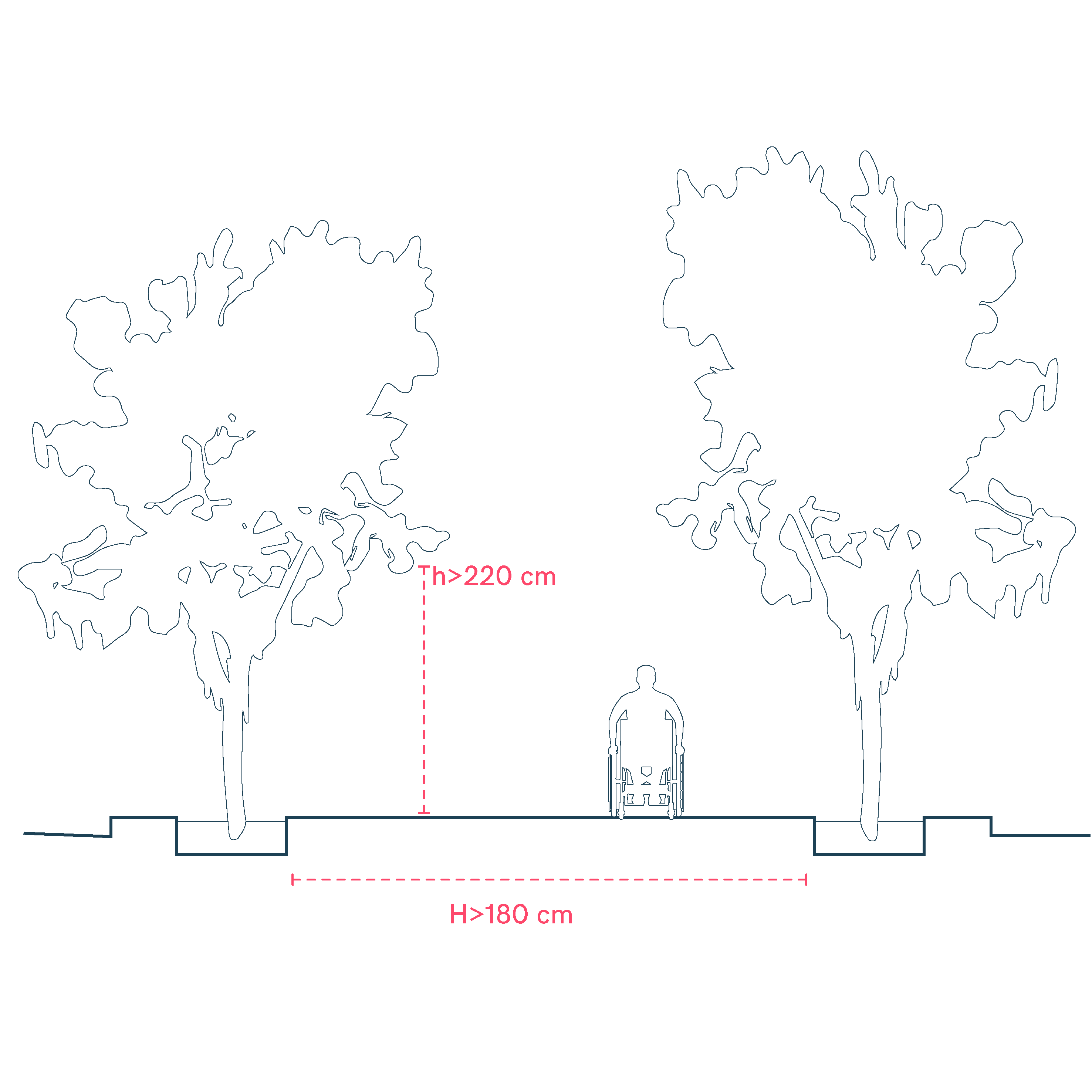 Dimensions of Public Plazas, Parks, and Gardens