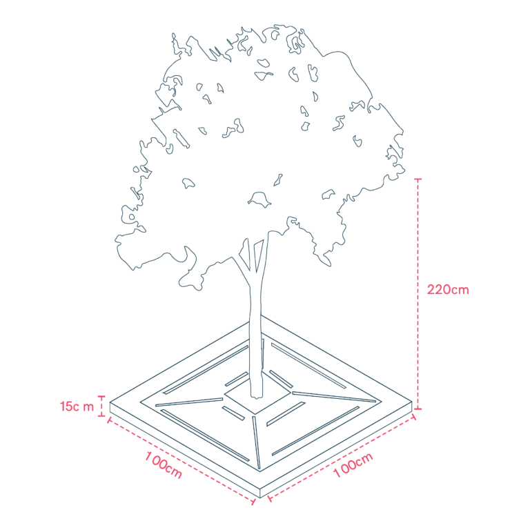 Tree Pit Safety and Accessibility