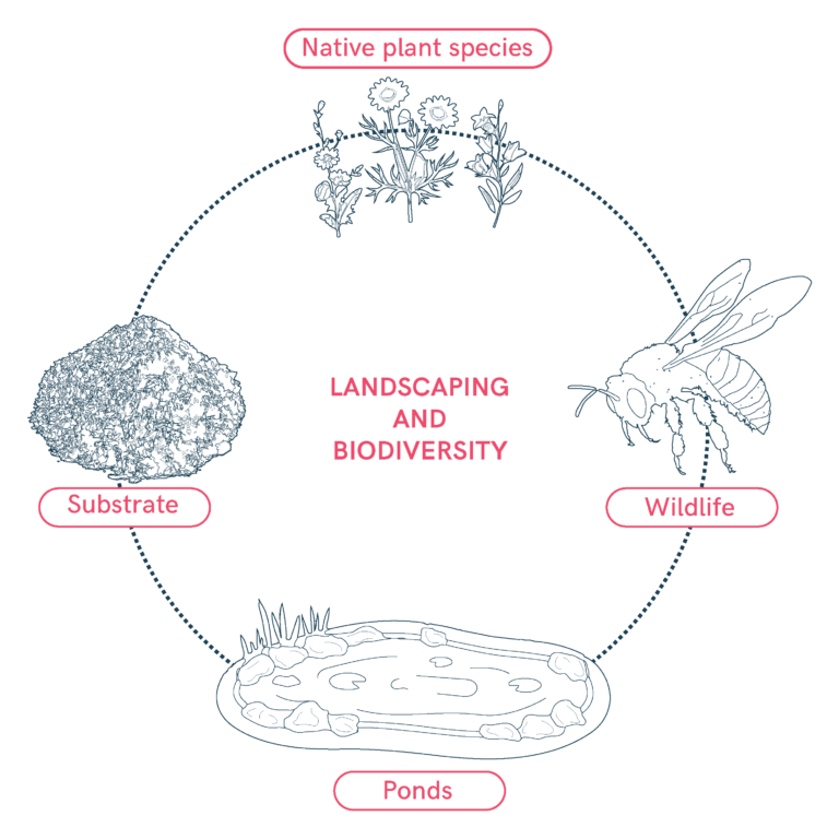 Sustainable Landscaping and Biodiversity