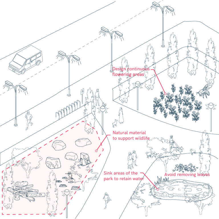 Renaturalization and Habitat Creation