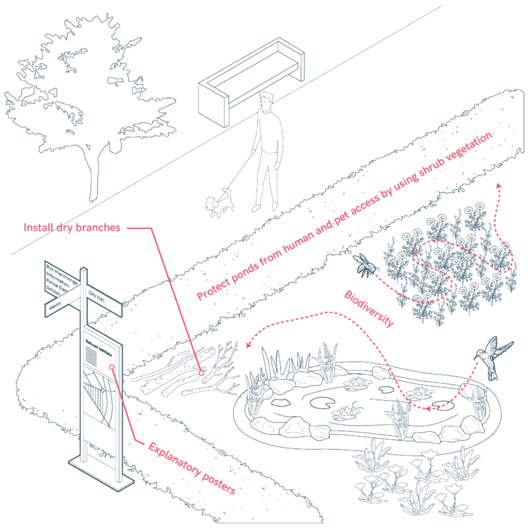 Water Management and Ponds